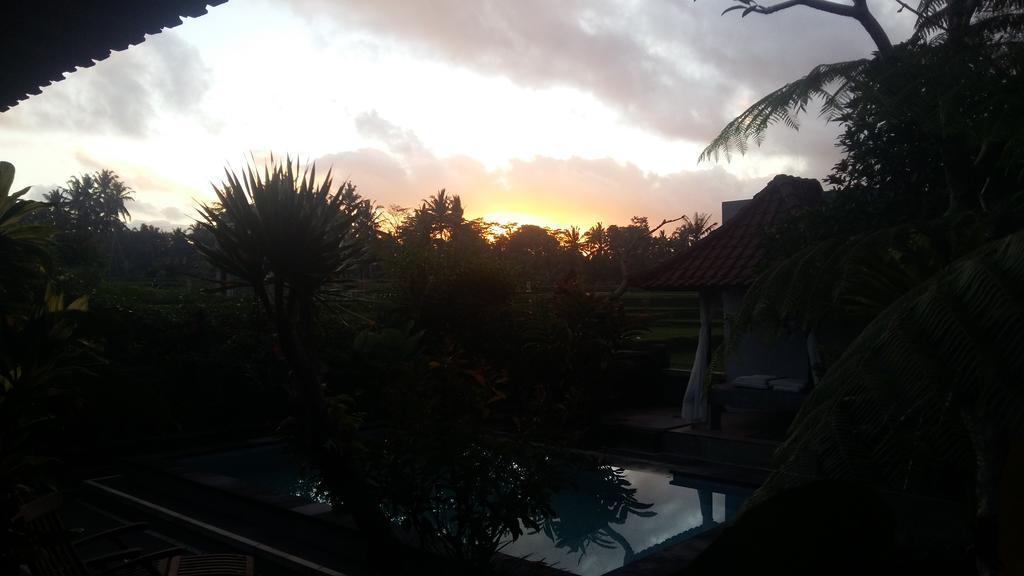 Pondok Anastasia Ubud  Bagian luar foto